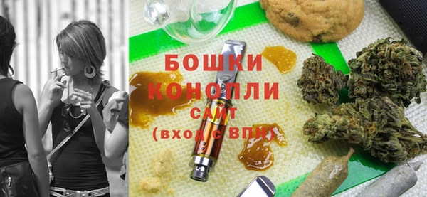 2c-b Бородино