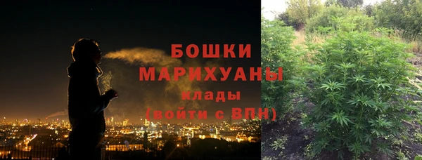 гидра Верея
